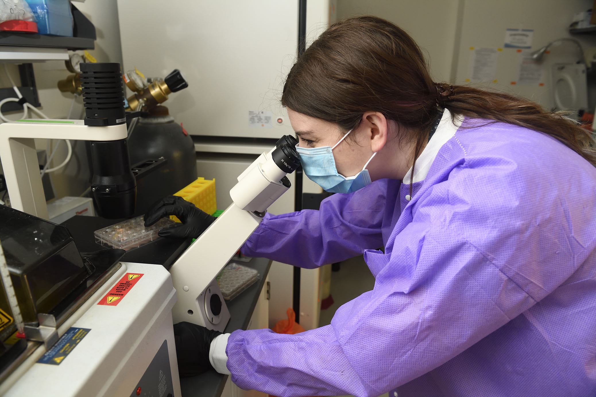 Johns Hopkins University, Bloomberg School Of Public Health Mhs In  Biochemistry And Molecular Biology