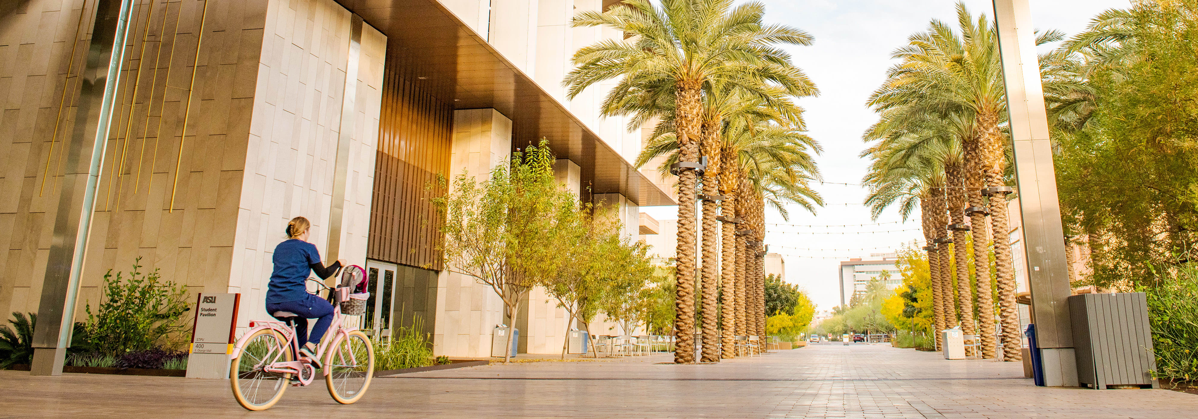 Asu Barrett Scholarships0