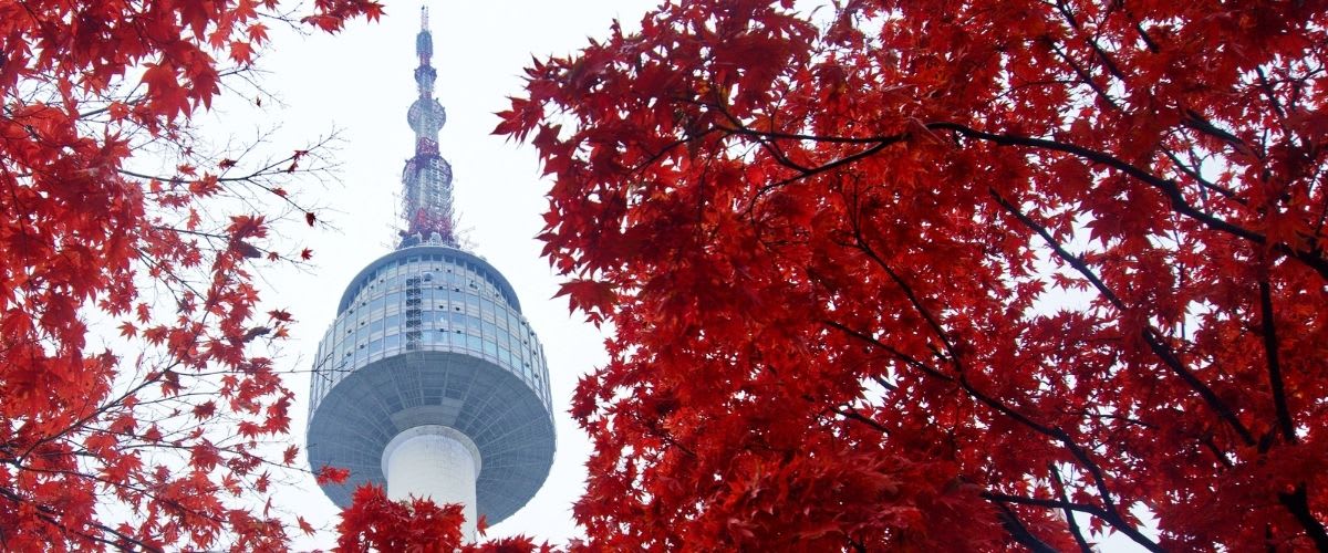 Study in South Korea Housing & Living Costs