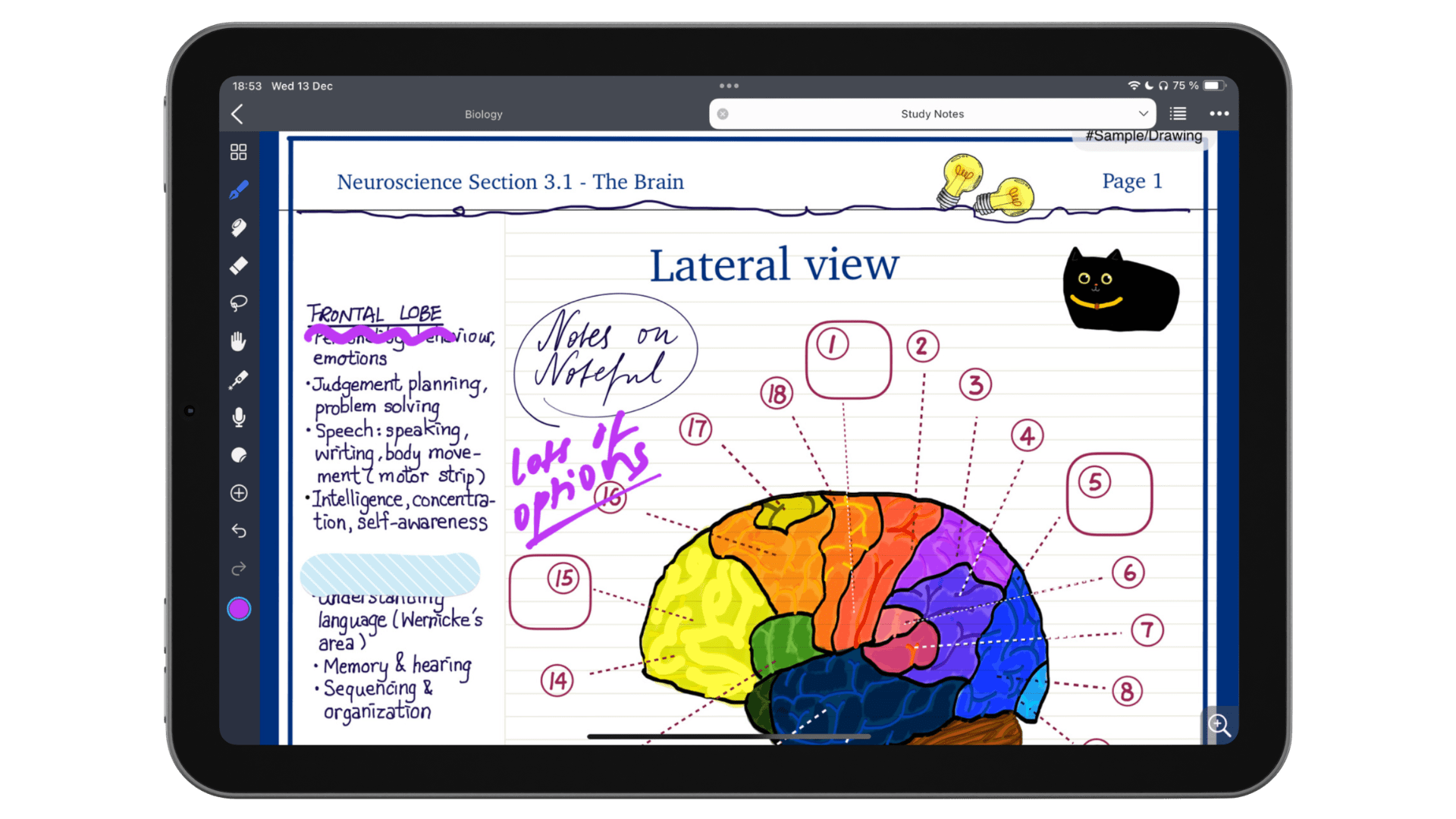 The 6 best note taking apps in 2024