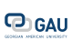 Georgian American University