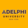 Adelphi University Ruth S. Ammon School of Education & Health Sciences