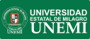 Universidad Estatal De Milagro Unemi