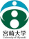 University Of Miyazaki