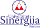 Sinergija University