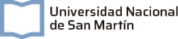 Universidad Nacional De San Martin