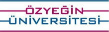 Ozyegin University