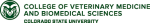 Colorado State University College of Veterinary Medicine and Biomedical Sciences
