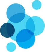 Brighton School Of Business And Management