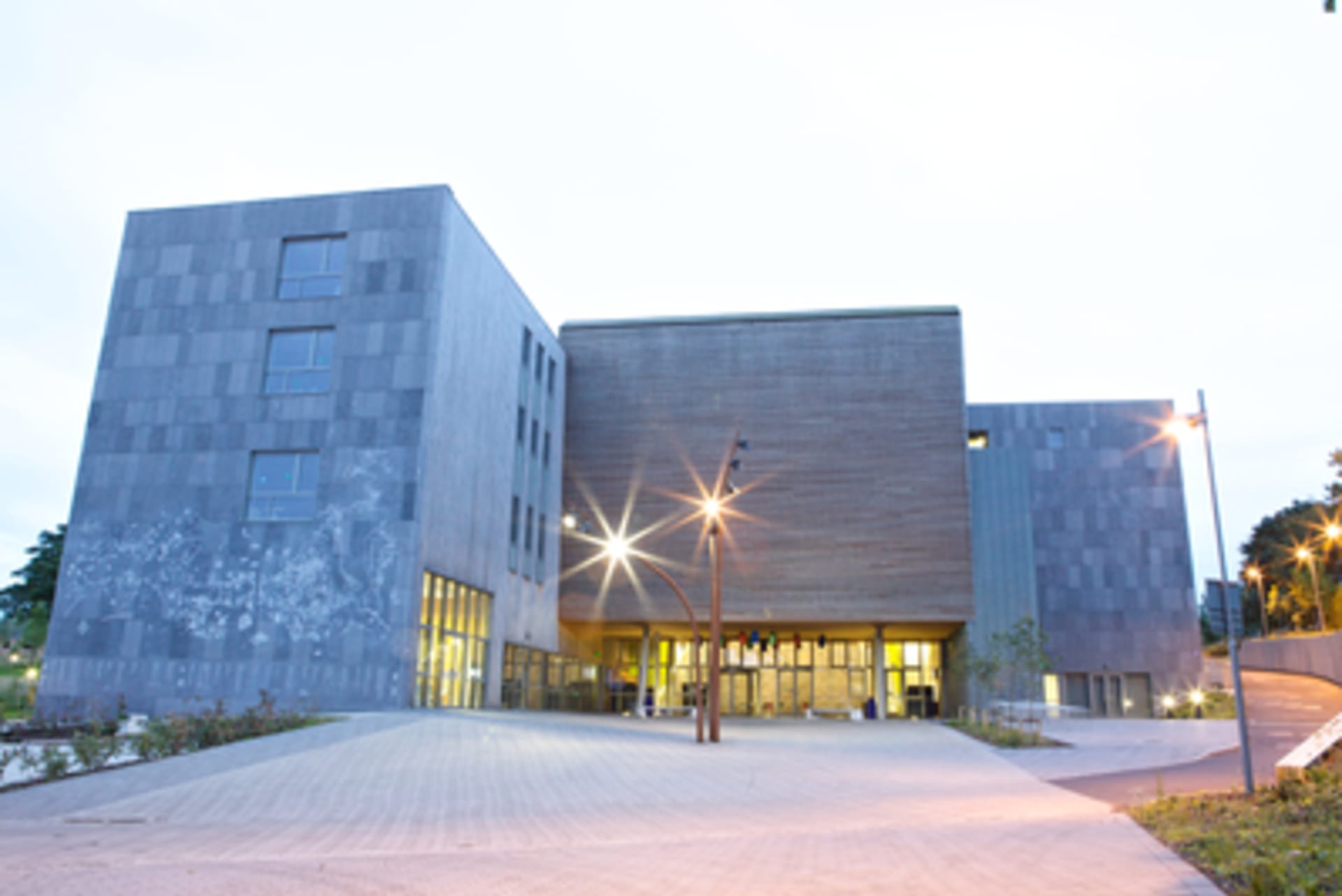 Mary Immaculate College