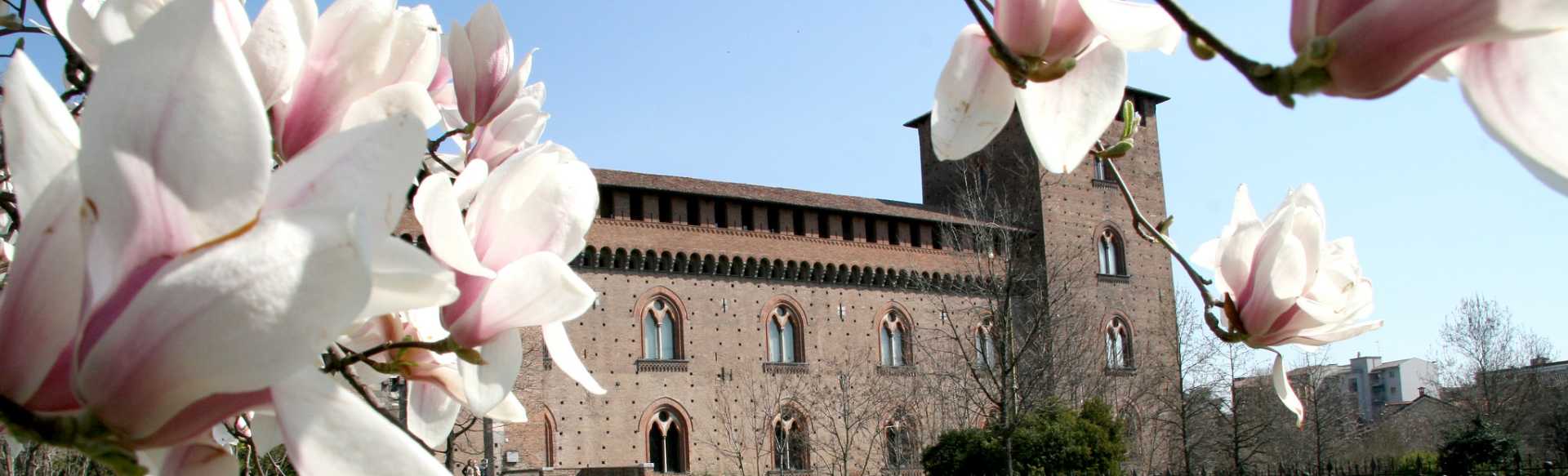 University of Pavia Μεταπτυχιακό στην Ψυχολογία, τις Νευροεπιστήμες και τις Ανθρωπιστικές Επιστήμες