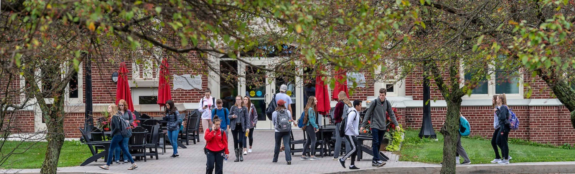 Saint Francis University Bachelor of Science in Exercise Physiology