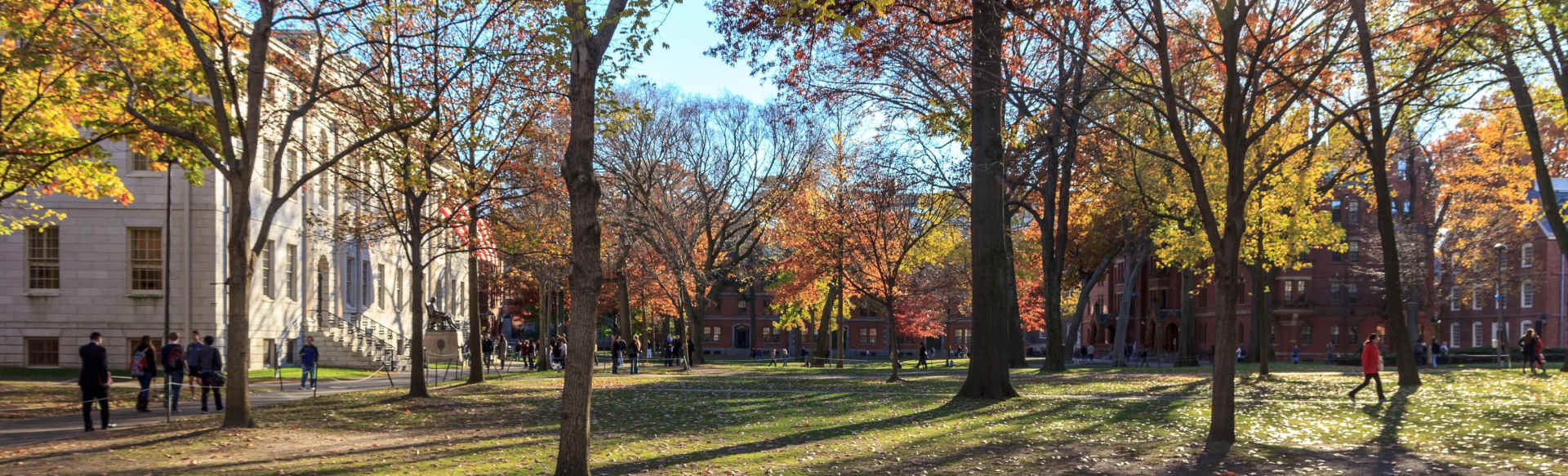 Miami University - Ohio Ολοκληρωμένη Αγγλική Γλώσσα και Καλλιτεχνική Εκπαίδευση (Τάξεις 7-12), Πτυχίο