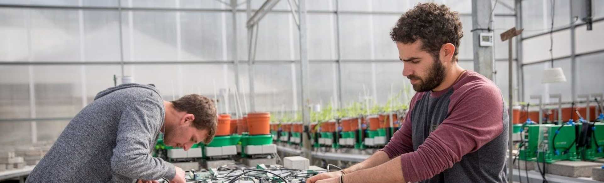 The Hebrew University of Jerusalem Master in Plantwetenschappen