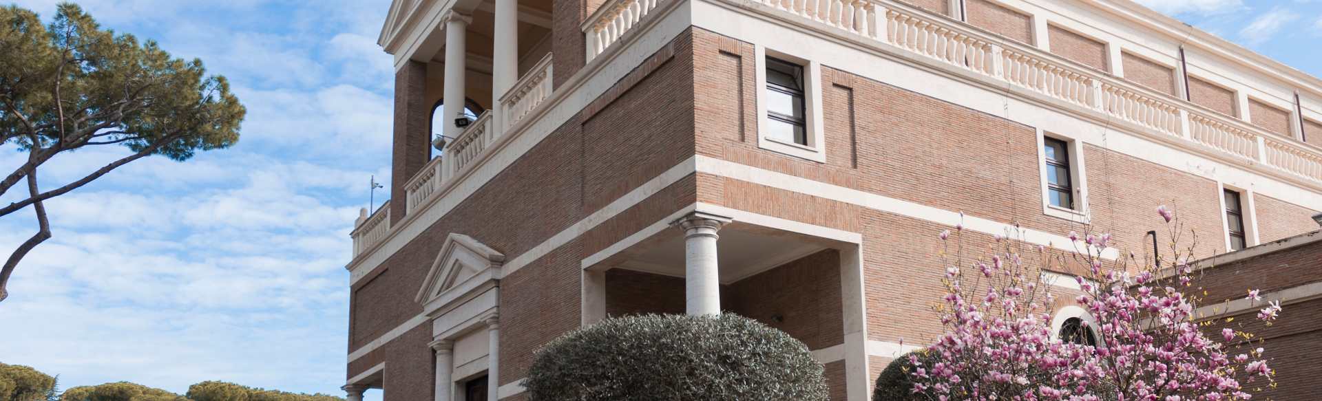 Luiss Guido Carli Πτυχίο Διοίκησης και Τεχνητής Νοημοσύνης
