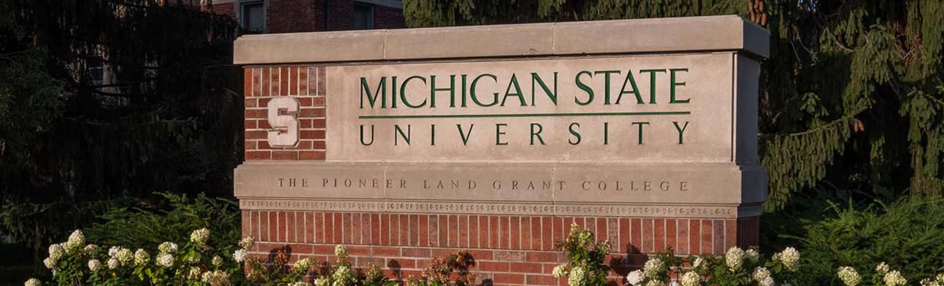 Michigan State University Online Master of Science στη Νομοθεσία και την Ανάλυση της Νομοθεσίας