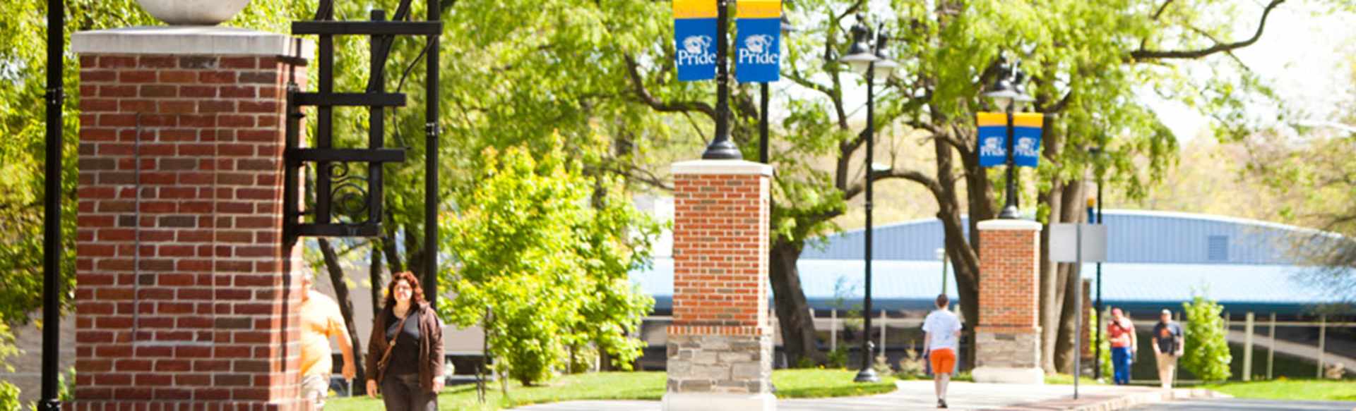 Widener University Online Meister der Sozialen Arbeit - Advanced Standing