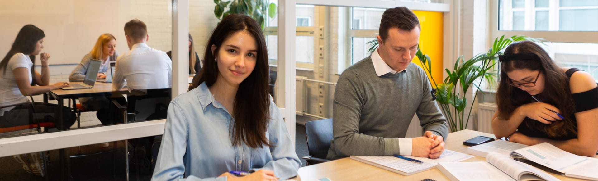 Fontys University of Applied Sciences Οικονομικά & Έλεγχος (Πτυχίο)