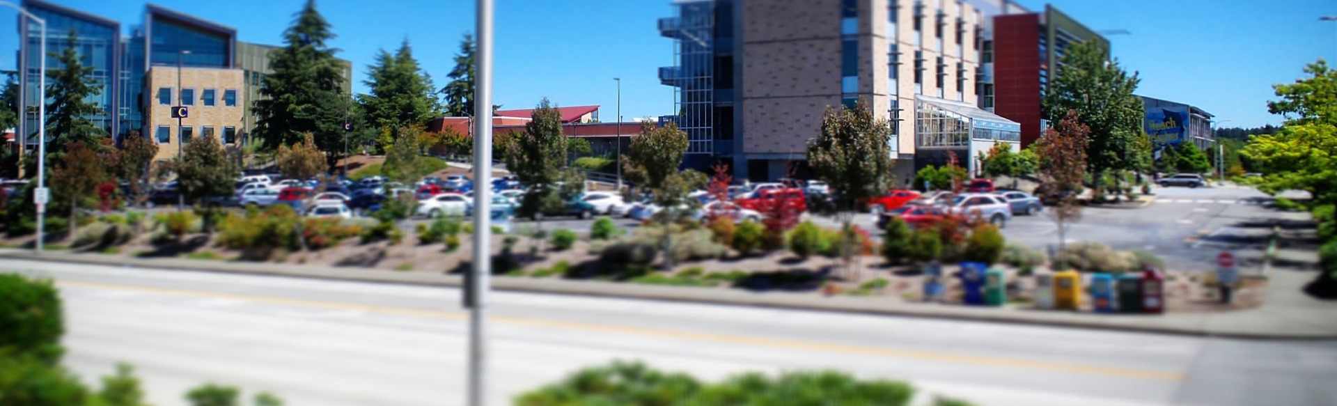 Tacoma Community College Συνεργάτης Επιστήμης στη Μηχανική Υλικών