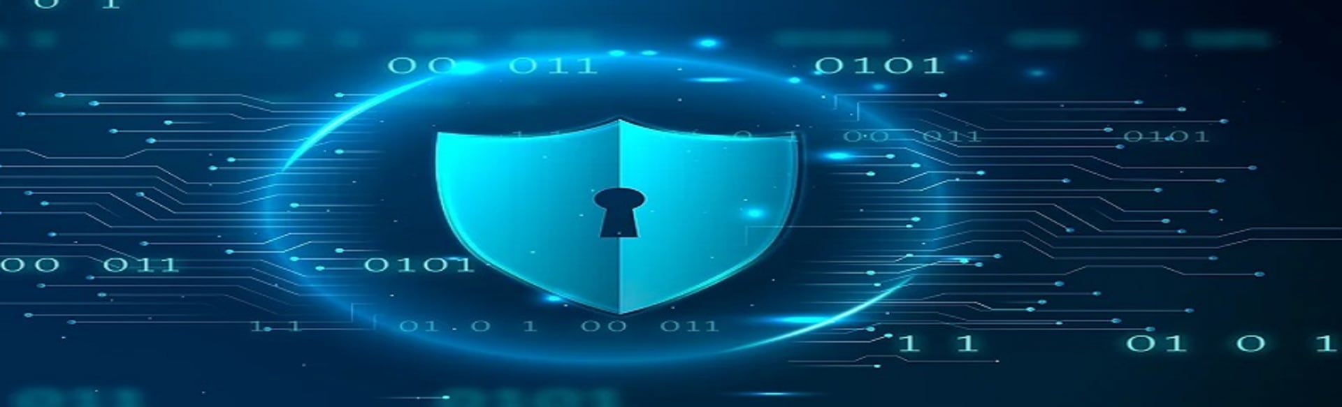 Washington University of Science and Technology Master of Science in Cybersecurity (MSCS)