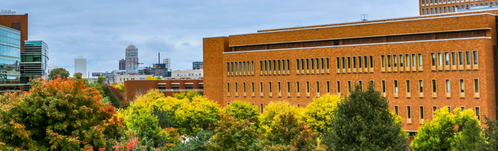 University of Minnesota – Carlson School of Management Medical Industry Graduate Certificate