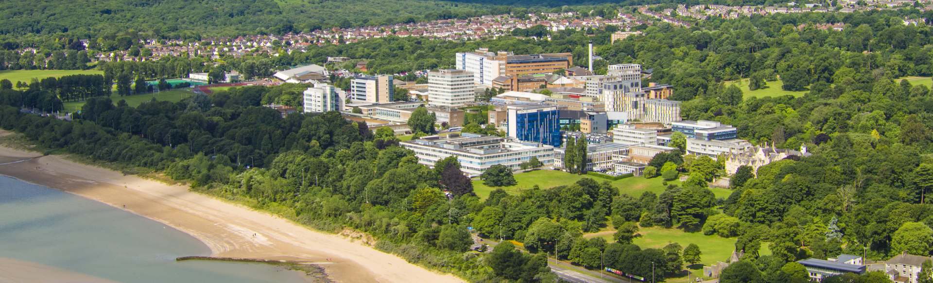 Swansea University MSc Management (International Management)