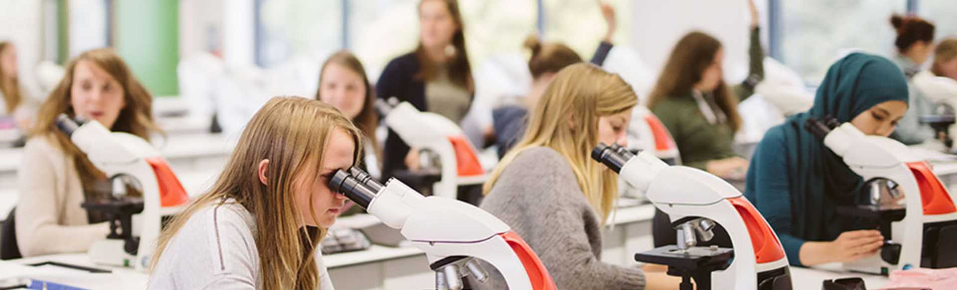 University of Antwerp Master of Biomedical Sciences: Neurosciences (M.Sc.)