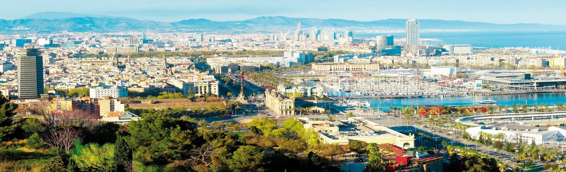 EU Business School Barcelona Master in Artificial Intelligence for Business