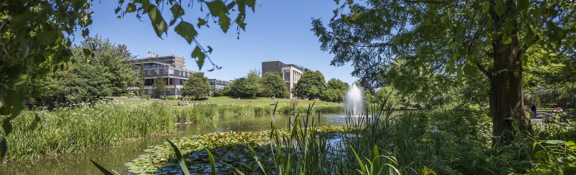 University of Bath Online Διαδικτυακό Μεταπτυχιακό στη Διοίκηση Επιχειρήσεων Μηχανικών