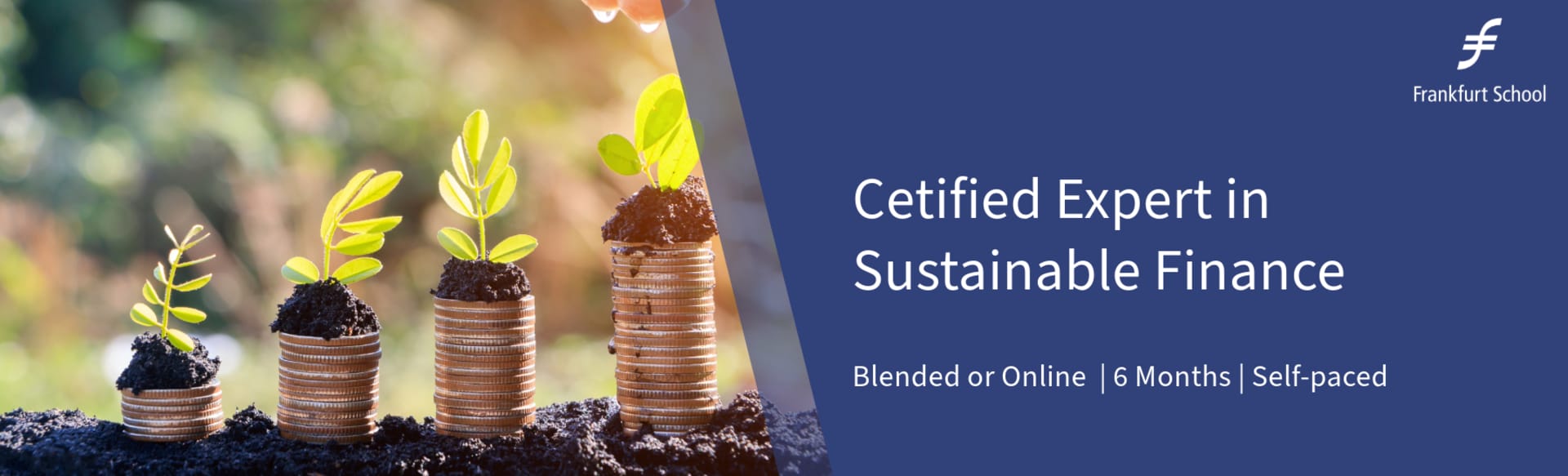 Frankfurt School of Finance & Management - Sustainable World Academy Πιστοποιημένος εμπειρογνώμονας στον τομέα της βιώσιμης χρηματοδότησης
