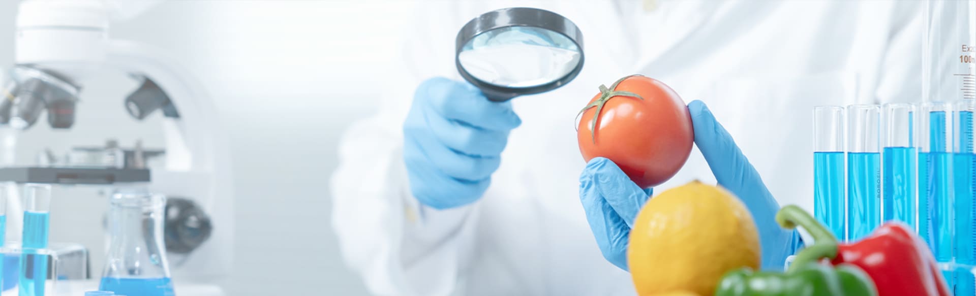 Universitat de Barcelona Master's Degree in Food Safety