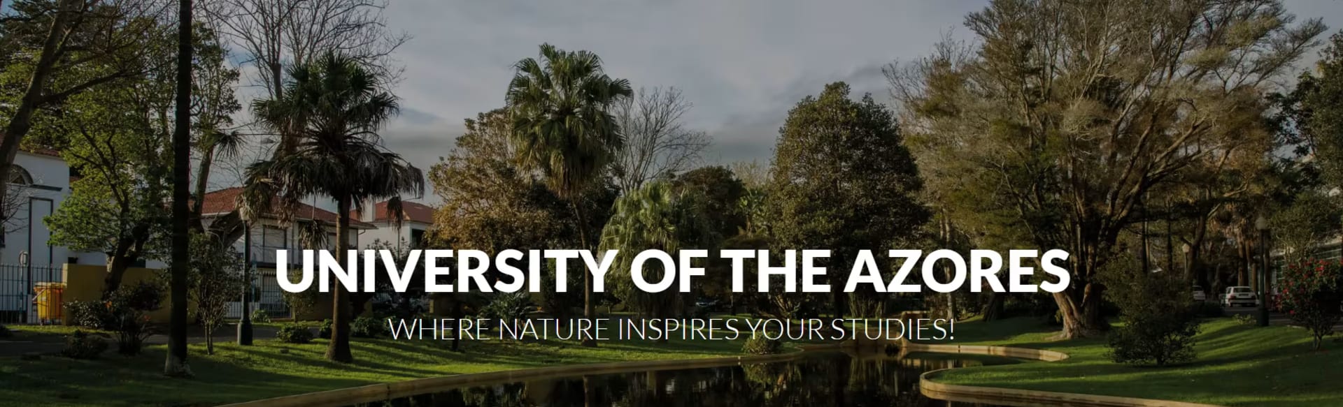 Universidade dos Açores Bachelor in Civil Protection and Risks Management