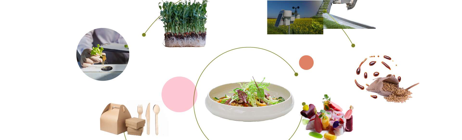 POLI.design Specializing Master in Design for Food