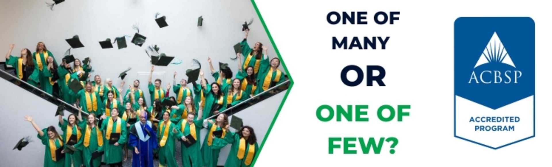 Sustainability Management School Online MBA in Sustainable Fashion Management