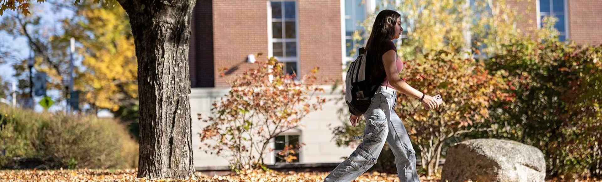 Nichols College Bachelor of Business Administration ΑΝΑΛΥΤΙΚΗ ΕΠΙΧΕΙΡΗΣΕΩΝ