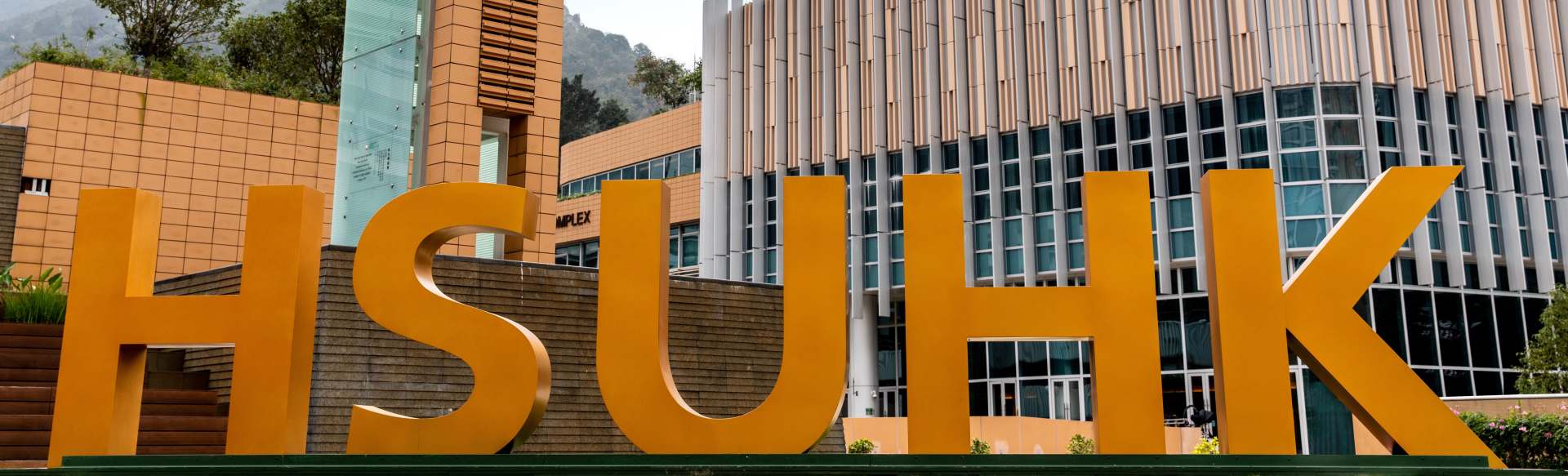 The Hang Seng University of Hong Kong (HSUHK) Πτυχίο Επιστημών (Hons) στην Επιχειρηματική Αναλυτική και τη Διαχείριση Πληροφοριών