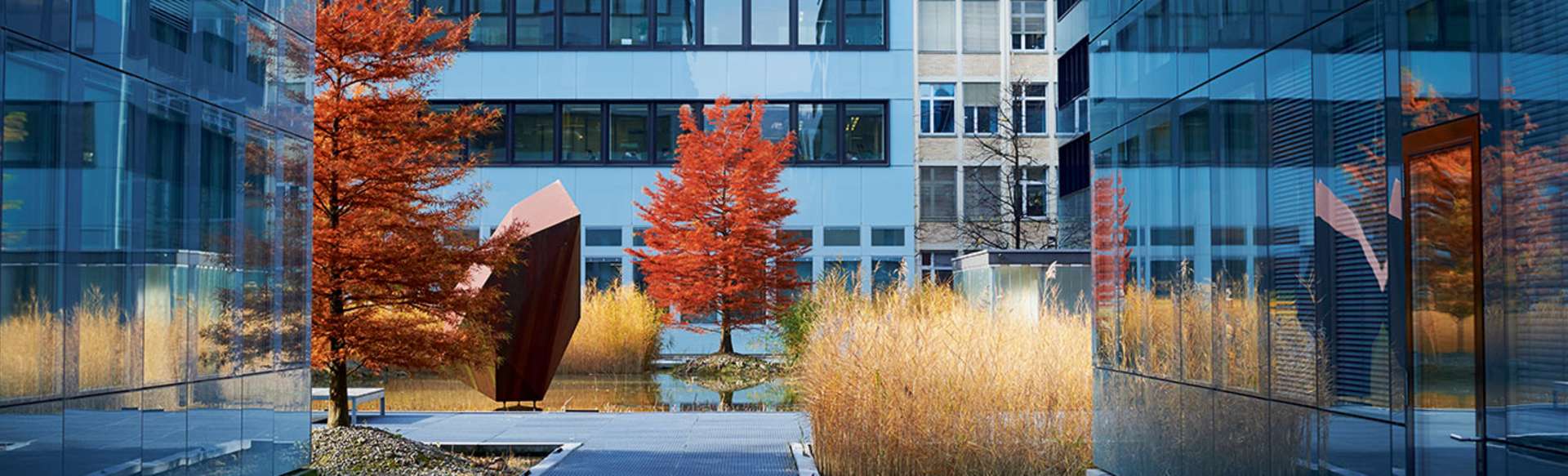 Lucerne School of Business – Finance and Real Estate Programs Master of Science in onroerend goed