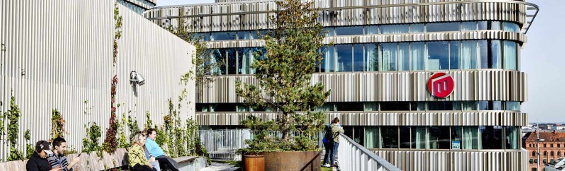 Malmö University Bachelor in Peace and Conflict Studies