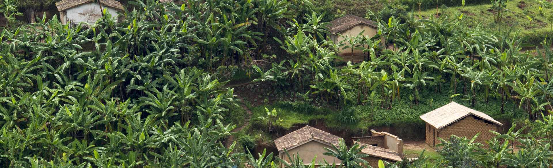 Vatel Rwanda Bachelor in International Hotel Management