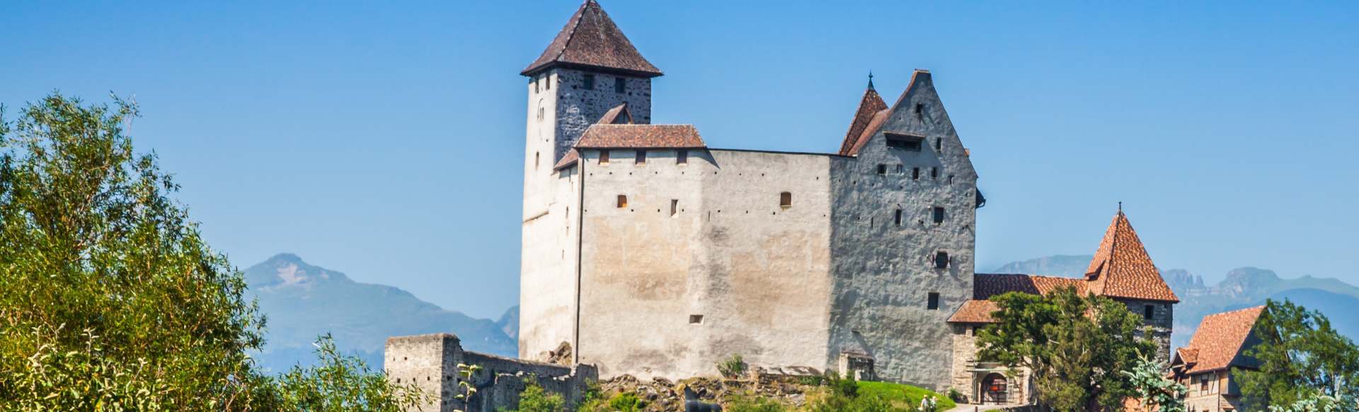 Private University in the Principality of Liechtenstein Doctorate Medical Science (Dr. scient. med.)