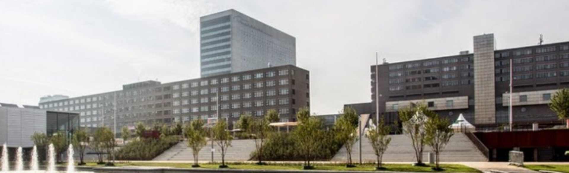 Erasmus University Rotterdam - Erasmus School of Social and Behavioural Sciences Master in Governance of Migration and Diversity