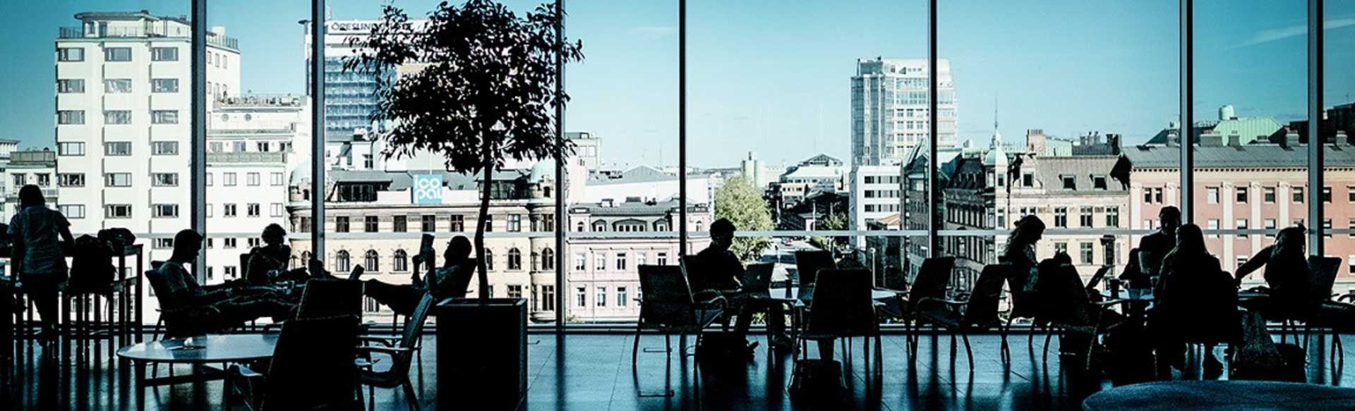 Malmö University Master in Criminology