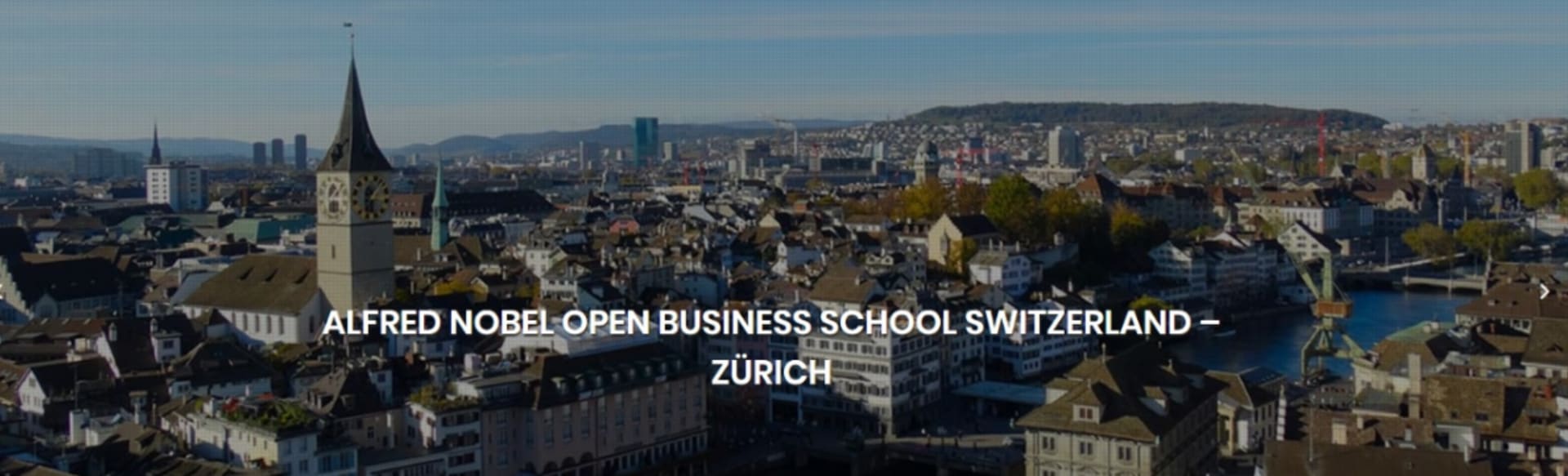 Alfred Nobel Open Business School Master of Business Administration (MBA)