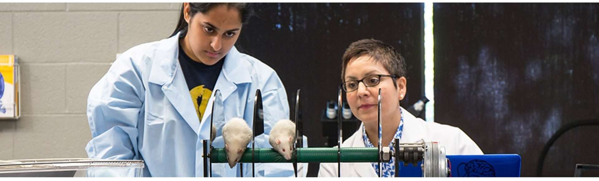 Moravian University Laurea in Neuroscienze