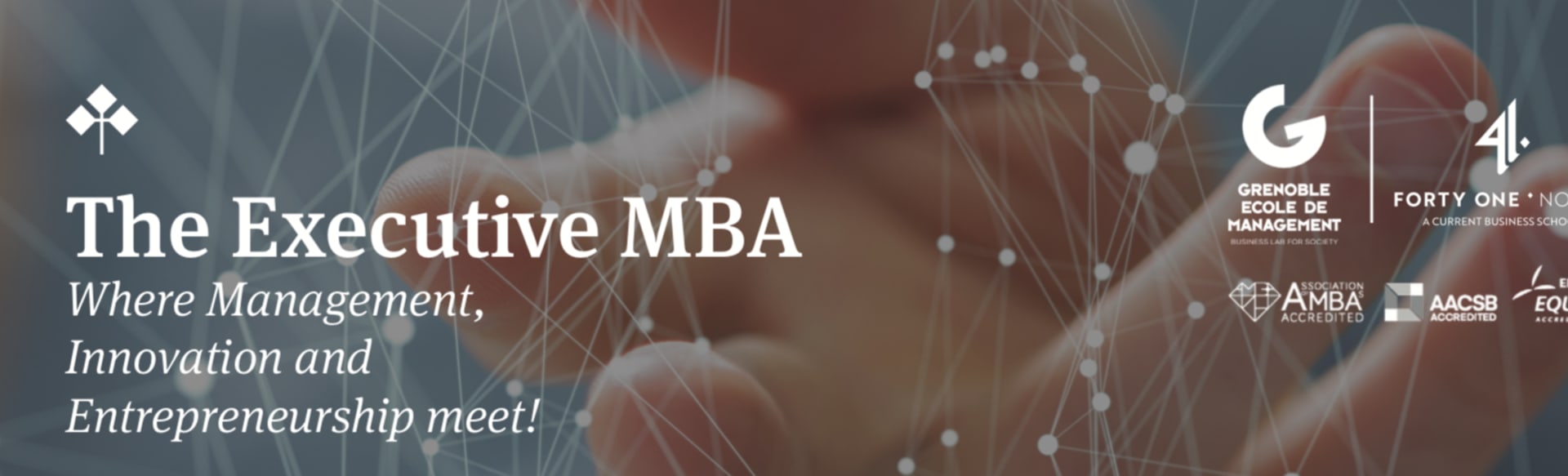 41 North Business School Executive MBA Grenoble Ecole de Management France, Istanbul-Cohort Program in partnership with