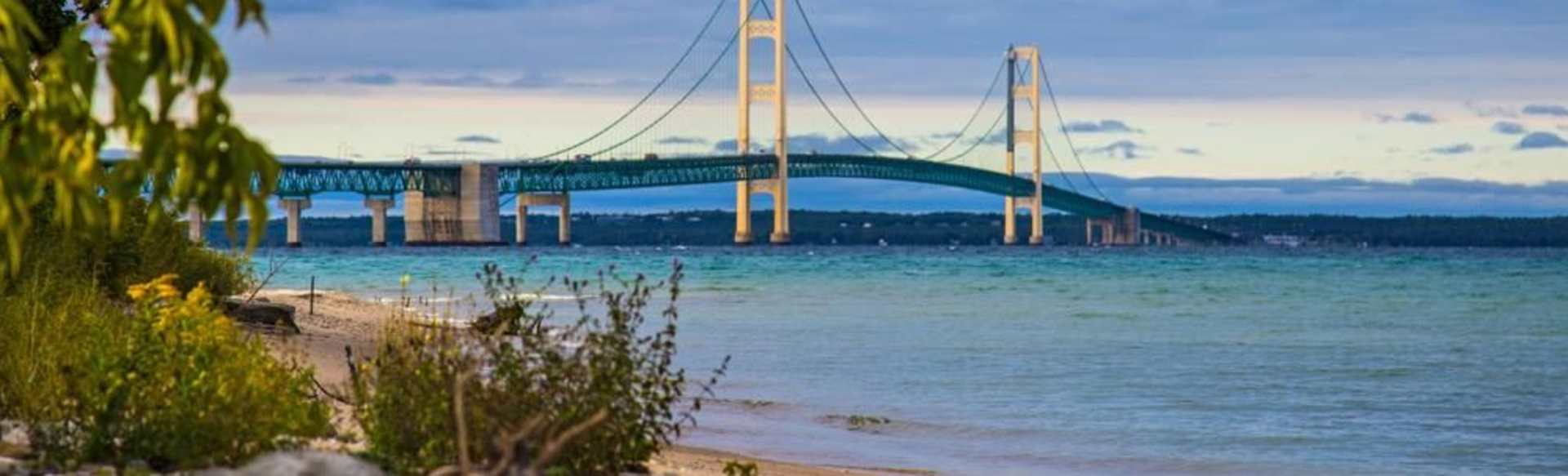 Michigan State University International Studies and Programs Master i immaterialrett, informasjons- og kommunikasjonsrett