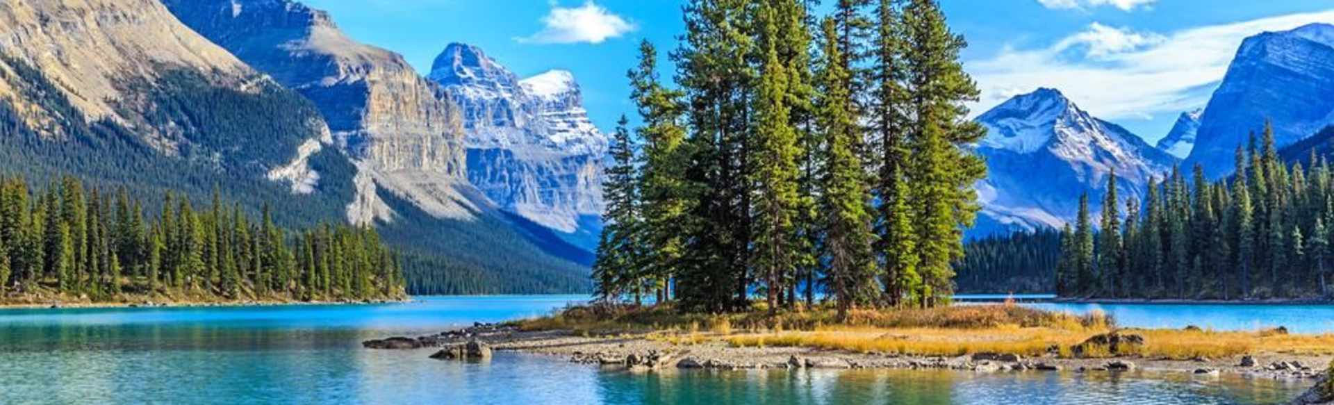 Trent University Bachelor in Environmental Science & Studies