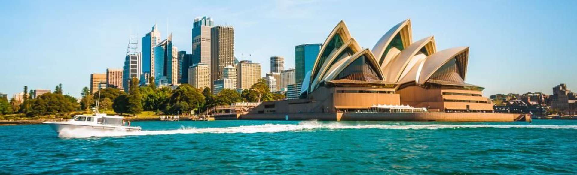 RMIT - Royal Melbourne Institute of Technology Maestro de Analytics