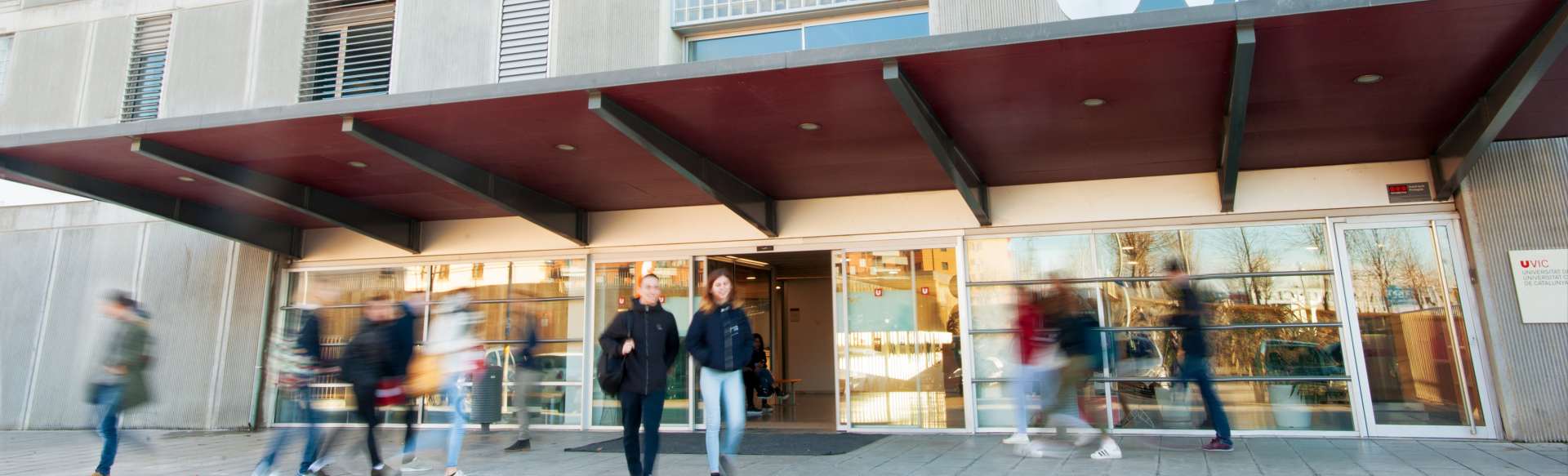 Universitat de Vic University Master's Degree in Inclusive Education, Democracy and Cooperative Learning