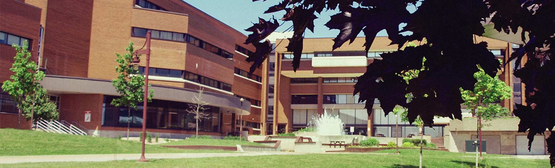 Cambrian College Diplom i sikkerhet og forebygging på arbeidsplassen